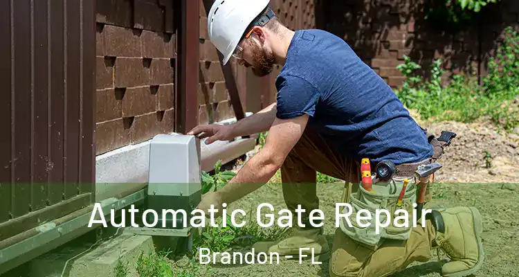  Automatic Gate Repair Brandon - FL
