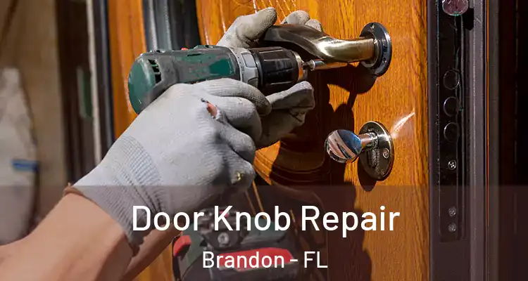 Door Knob Repair Brandon - FL