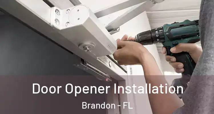  Door Opener Installation Brandon - FL