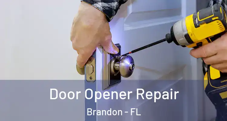  Door Opener Repair Brandon - FL