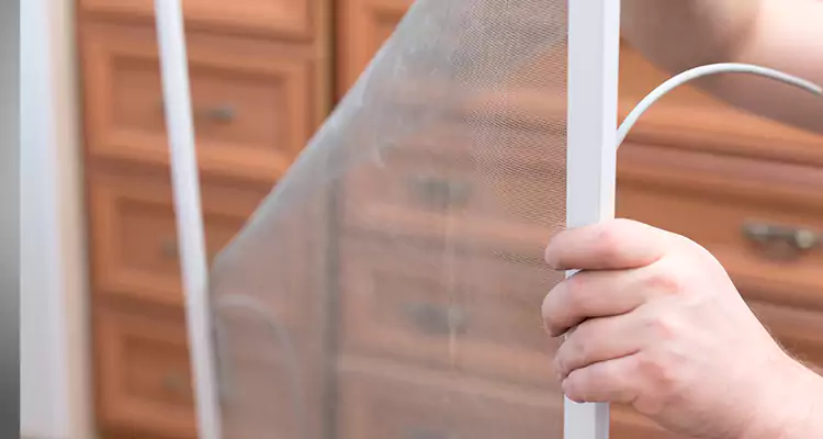 Privacy Mesh Screen Door Installation in Brandon, FL