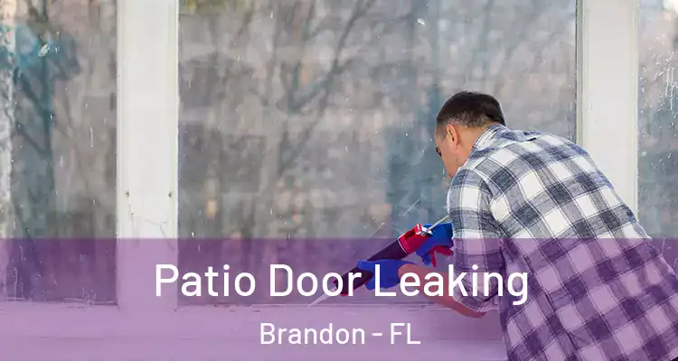  Patio Door Leaking Brandon - FL