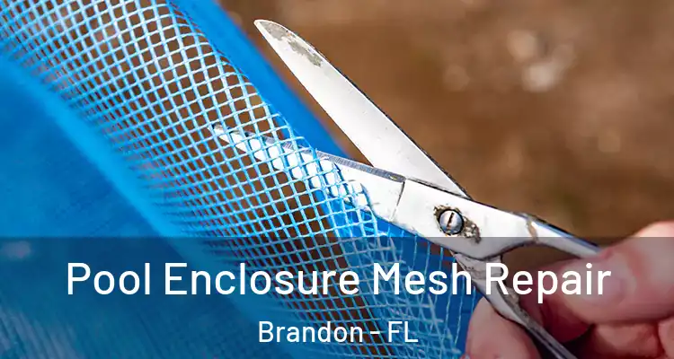  Pool Enclosure Mesh Repair Brandon - FL