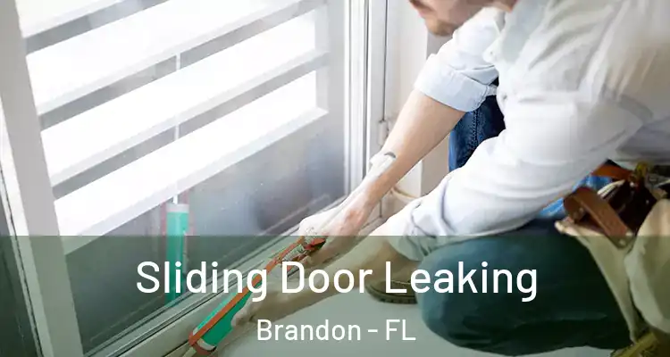  Sliding Door Leaking Brandon - FL