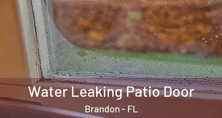  Water Leaking Patio Door Brandon - FL