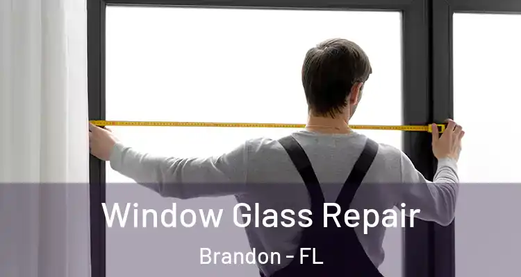 Window Glass Repair Brandon - FL