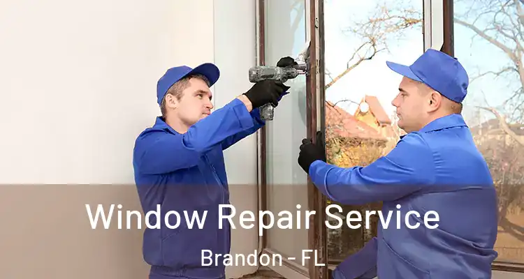  Window Repair Service Brandon - FL