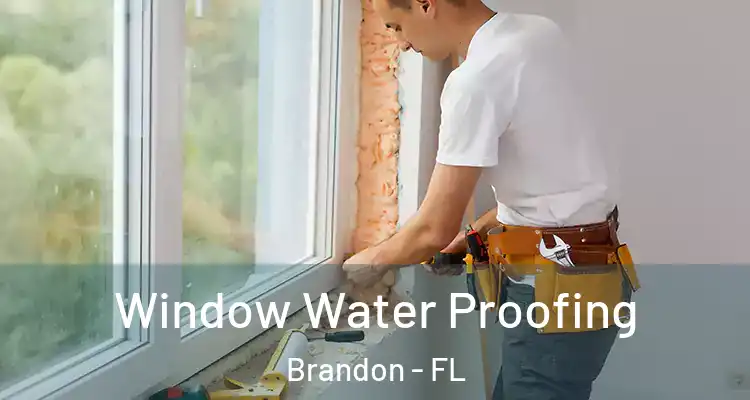  Window Water Proofing Brandon - FL
